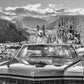 Spring in Aspen-Photographic Print-David Yarrow-Sorrel Sky Gallery