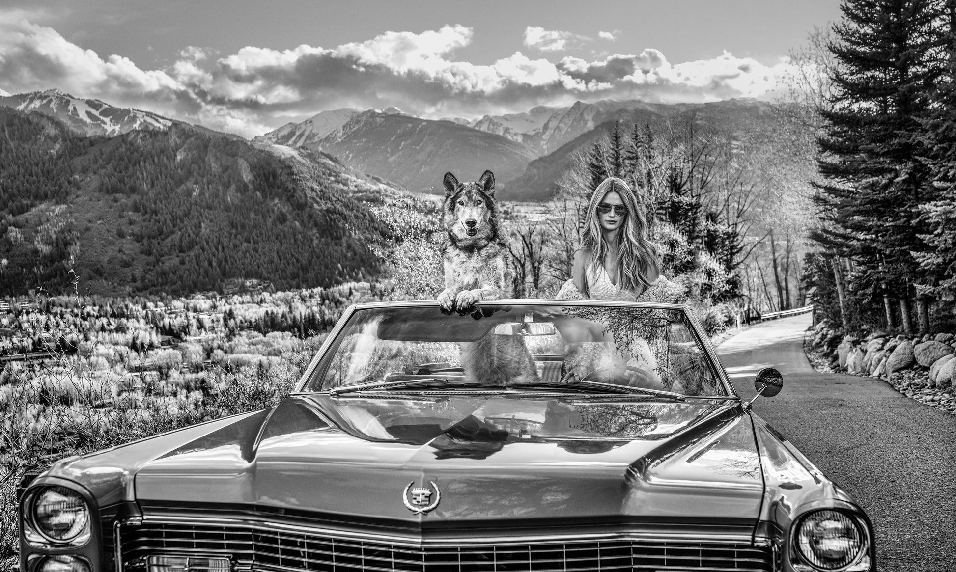 Spring in Aspen-Photographic Print-David Yarrow-Sorrel Sky Gallery