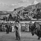 TELLURIDE’S HAPPY GILMORE-Photographic Print-David Yarrow-Sorrel Sky Gallery