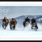 THE BILLS (COLOUR)-Photographic Print-David Yarrow-Sorrel Sky Gallery