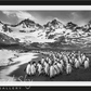 THE BREAKFAST CLUB-Photographic Print-David Yarrow-Sorrel Sky Gallery