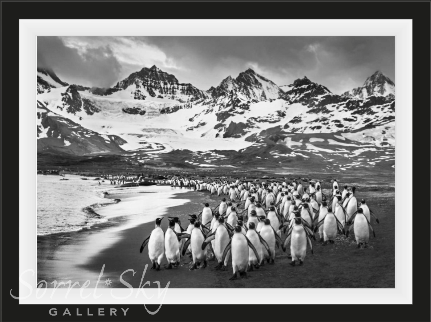 THE BREAKFAST CLUB-Photographic Print-David Yarrow-Sorrel Sky Gallery