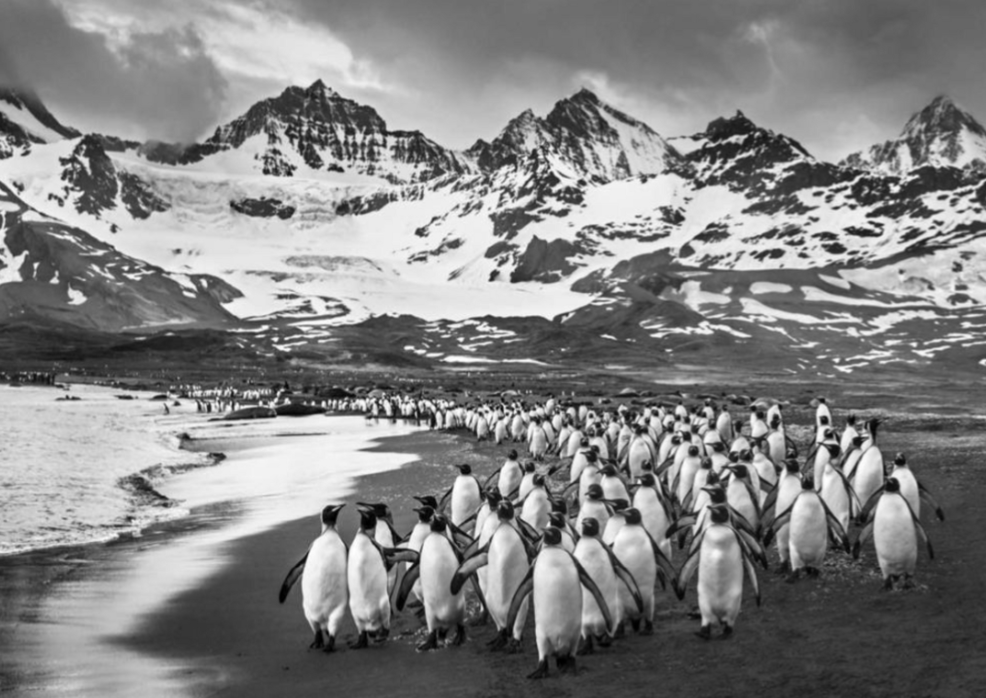 THE BREAKFAST CLUB-Photographic Print-David Yarrow-Sorrel Sky Gallery