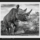 THE DEPARTED-Photographic Print-David Yarrow-Sorrel Sky Gallery