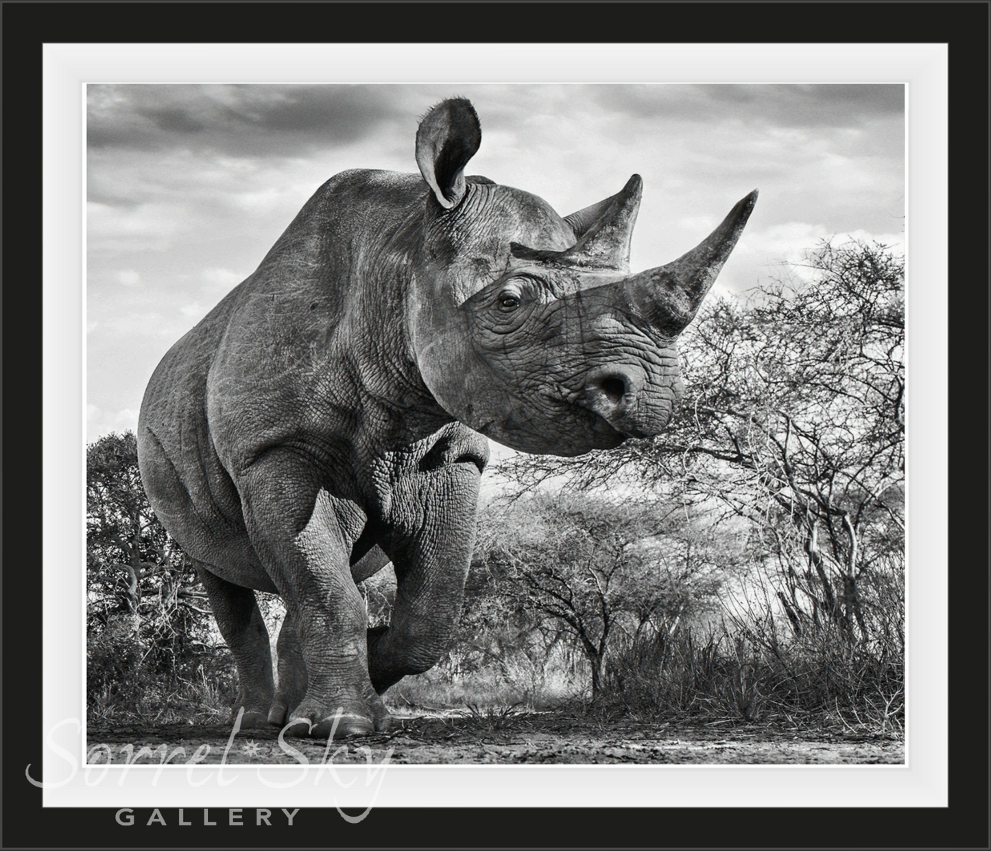 THE DEPARTED-Photographic Print-David Yarrow-Sorrel Sky Gallery