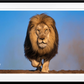 THE DUST UP (COLOUR)-Photographic Print-David Yarrow-Sorrel Sky Gallery