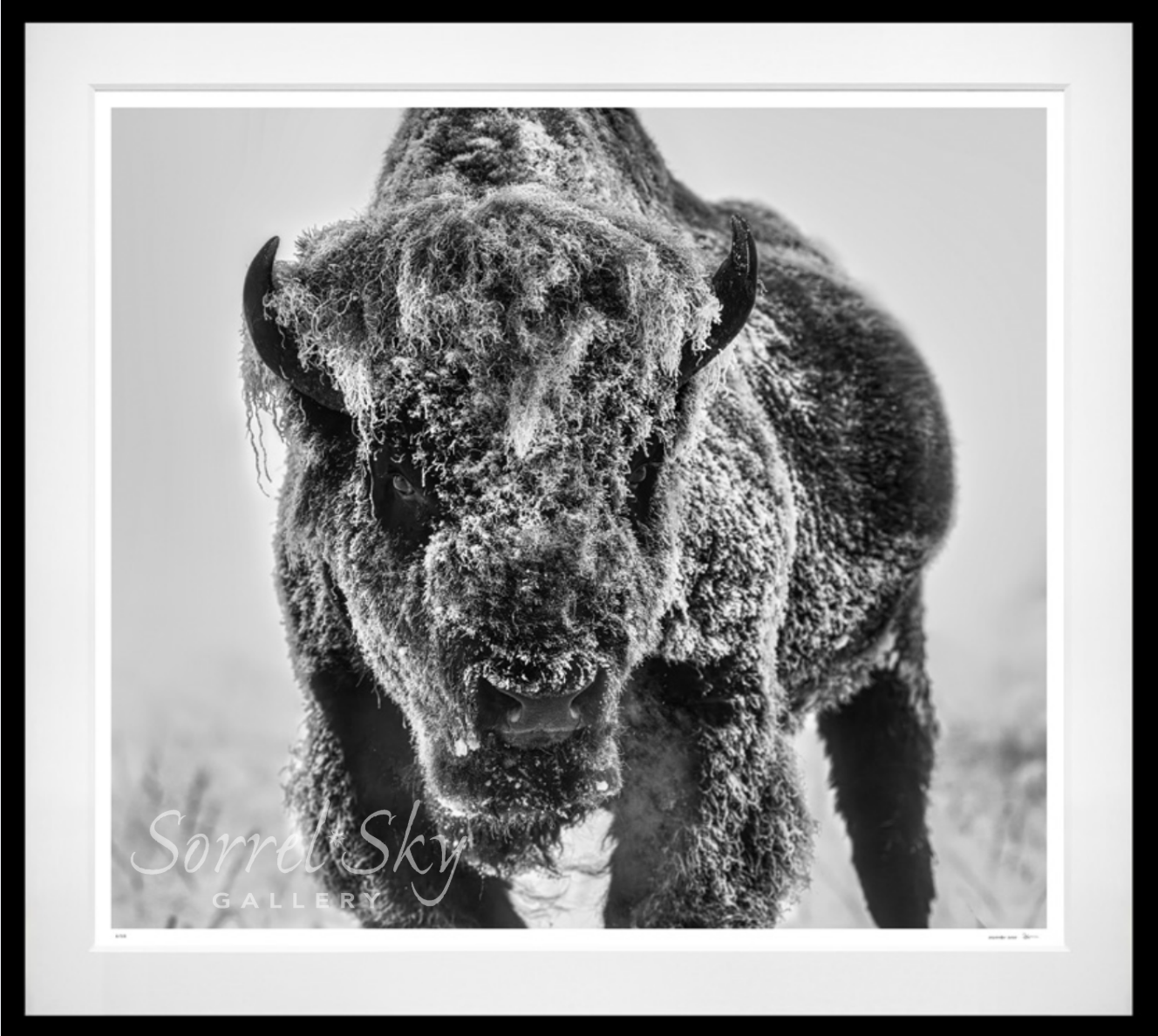 THE ICE MONSTER (Black & White)-Photographic Print-David Yarrow-Sorrel Sky Gallery