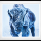 THE ICE MONSTER (COLOUR)-Photographic Print-David Yarrow-Sorrel Sky Gallery