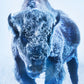 THE ICE MONSTER (COLOUR)-Photographic Print-David Yarrow-Sorrel Sky Gallery