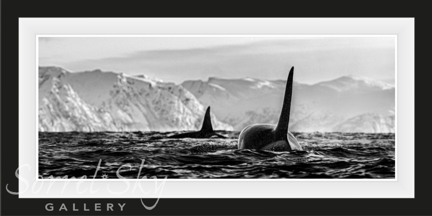 THE KILLERS-Photographic Print-David Yarrow-Sorrel Sky Gallery