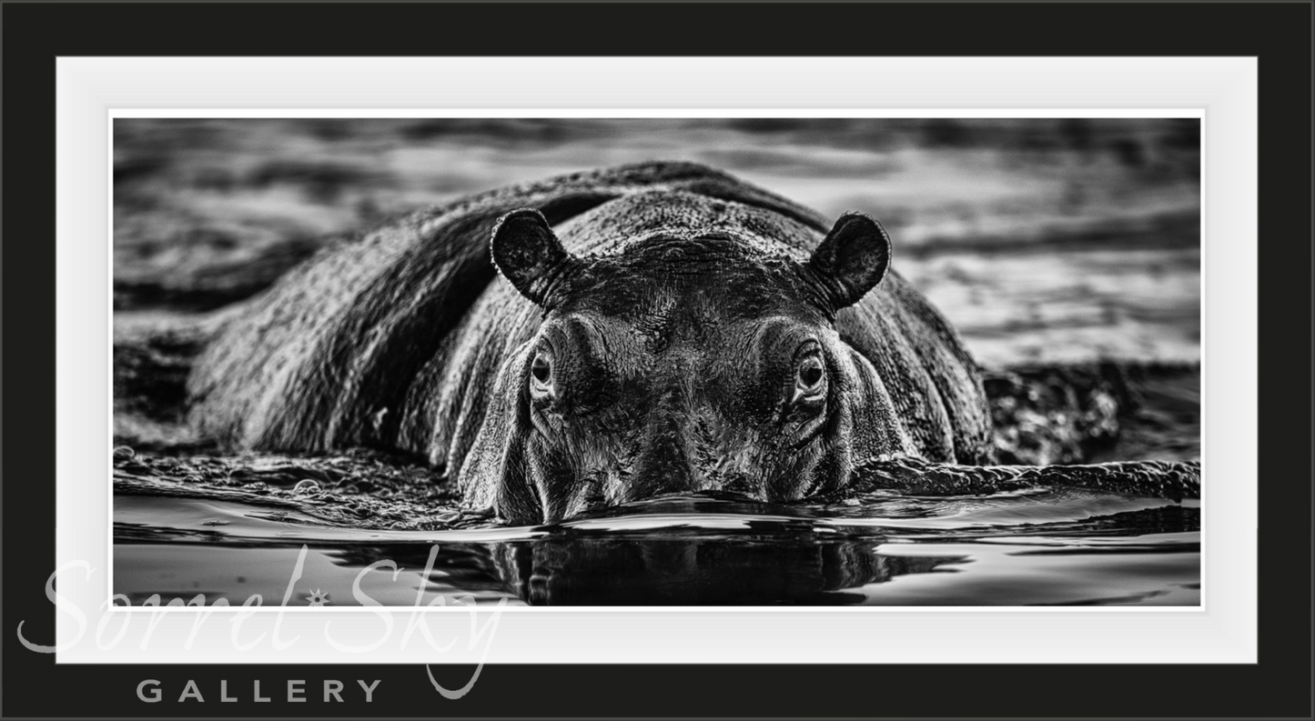 THE LAST DANCE-Photographic Print-David Yarrow-Sorrel Sky Gallery