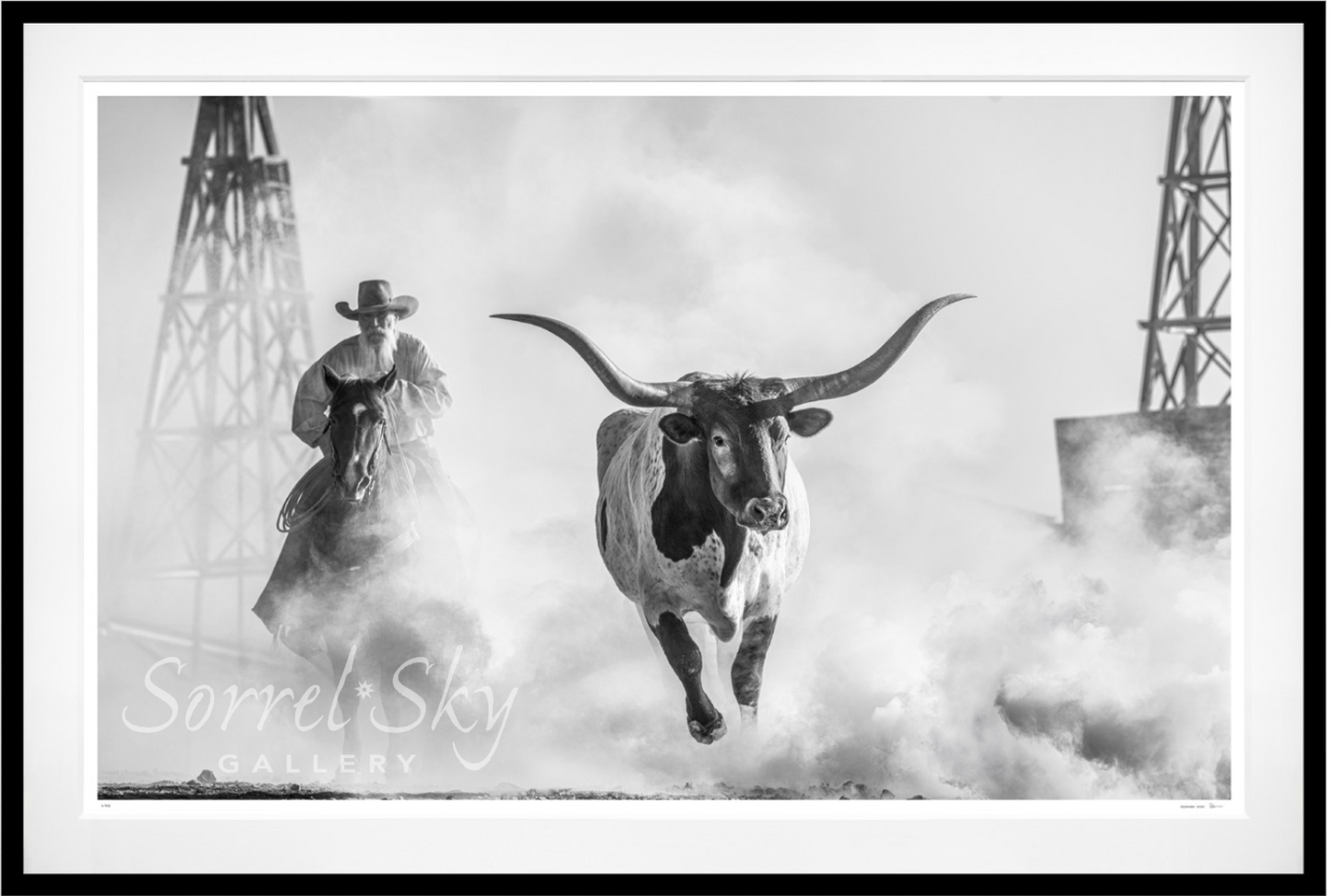 THE LONE STAR STATE-Photographic Print-David Yarrow-Sorrel Sky Gallery
