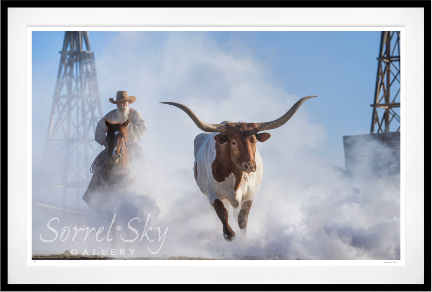 THE LONE STAR STATE (Colour)-Photographic Print-David Yarrow-Sorrel Sky Gallery