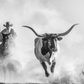 THE LONE STAR STATE-Photographic Print-David Yarrow-Sorrel Sky Gallery