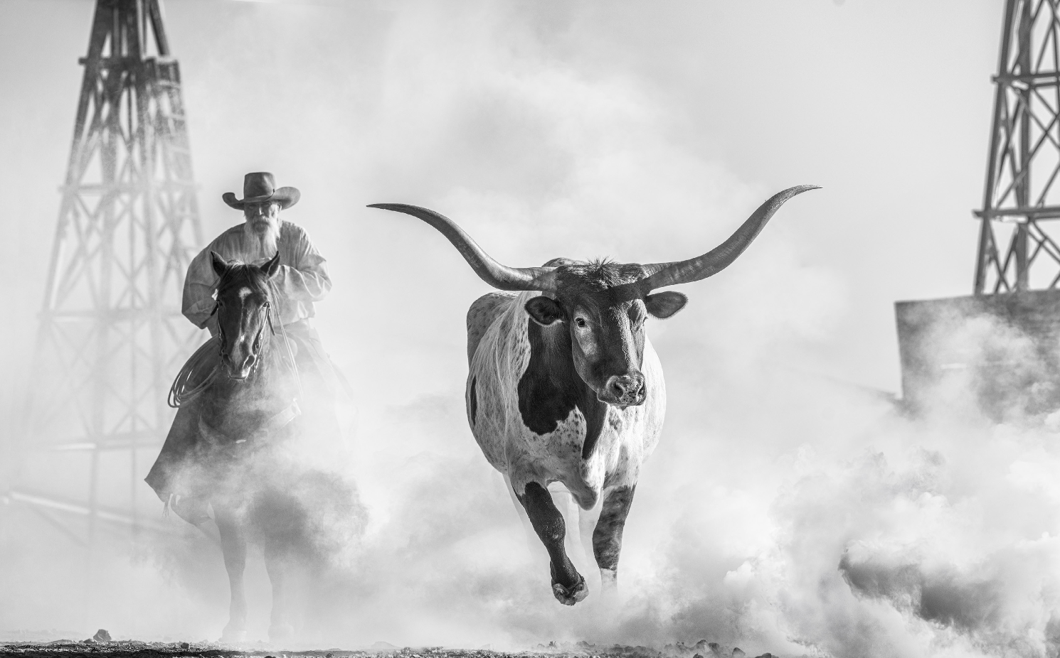 THE LONE STAR STATE-Photographic Print-David Yarrow-Sorrel Sky Gallery