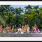 THE LUNCHEON (Colour)-Photographic Print-David Yarrow-Sorrel Sky Gallery