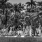 THE LUNCHEON-Photographic Print-David Yarrow-Sorrel Sky Gallery