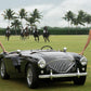 THE THOMAS CROWN AFFAIR - Colour-Photographic Print-David Yarrow-Sorrel Sky Gallery