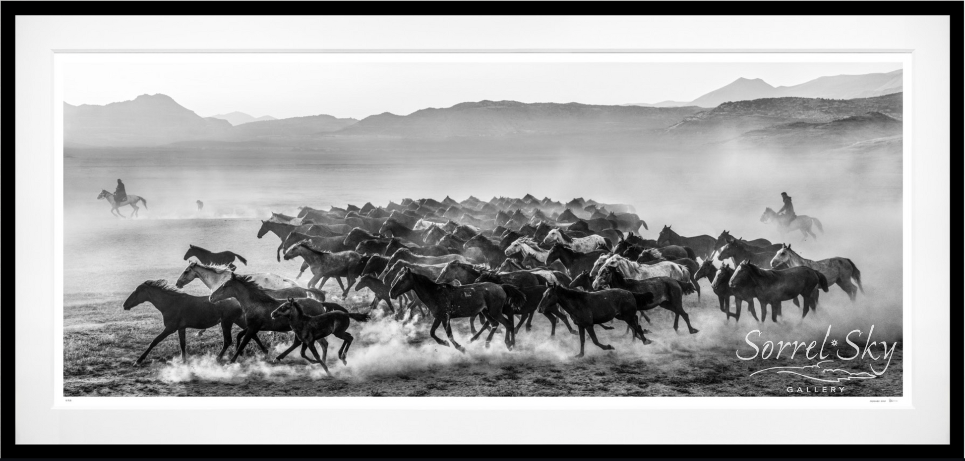 THE UNIT (B&W)-Photographic Print-David Yarrow-Sorrel Sky Gallery