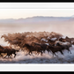 THE UNIT (COLOUR)-Photographic Print-David Yarrow-Sorrel Sky Gallery