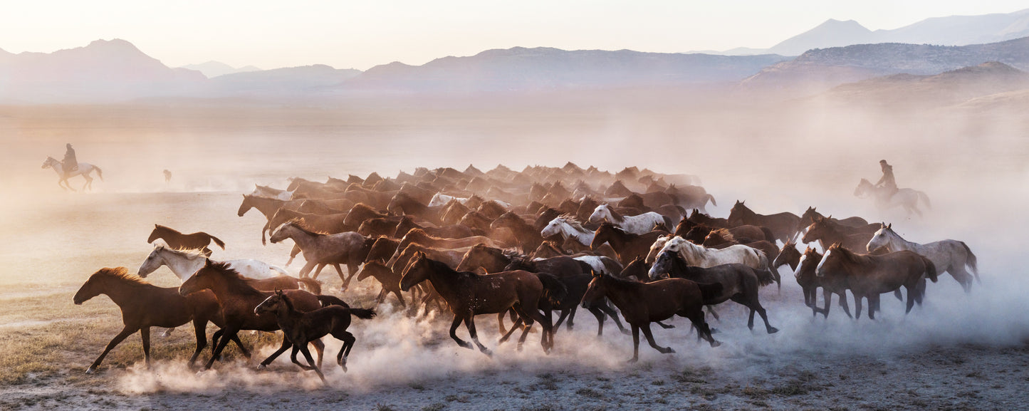 THE UNIT (COLOUR)-Photographic Print-David Yarrow-Sorrel Sky Gallery