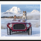 THE WHITE LADY (Colour)-Photographic Print-David Yarrow-Sorrel Sky Gallery