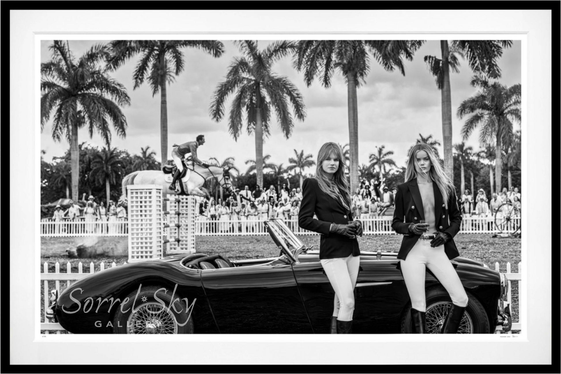 THE WINNER TAKES IT ALL-Photographic Print-David Yarrow-Sorrel Sky Gallery