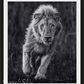 THOR-Photographic Print-David Yarrow-Sorrel Sky Gallery