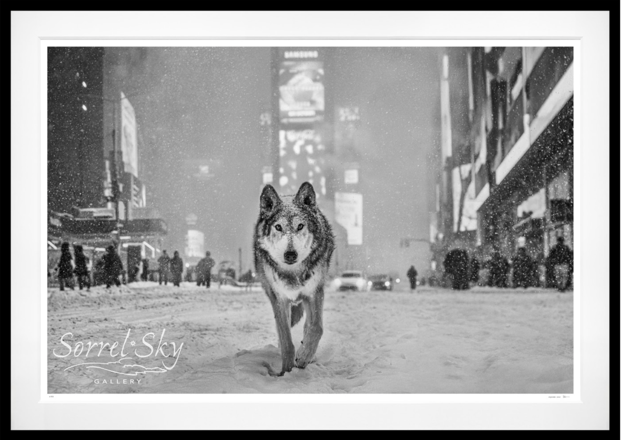 TIMES SQUARE-Photographic Print-David Yarrow-Sorrel Sky Gallery