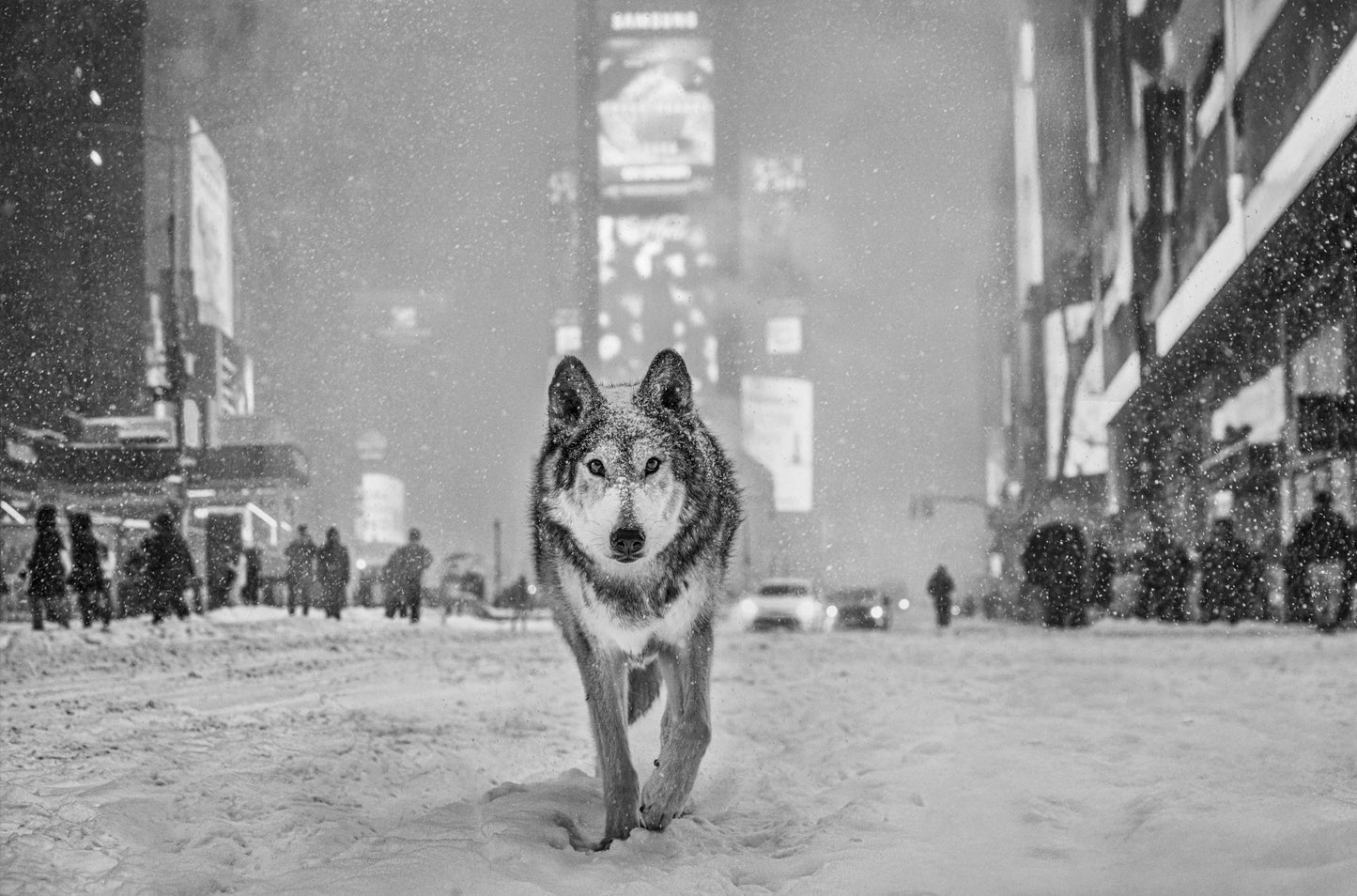 TIMES SQUARE-Photographic Print-David Yarrow-Sorrel Sky Gallery