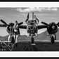 Take My Breath Away-Photographic Print-David Yarrow-Sorrel Sky Gallery
