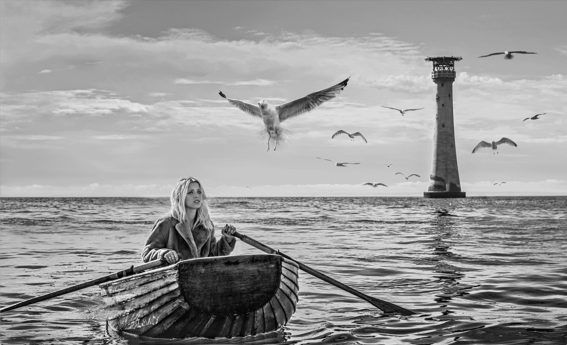 The Birds-Photographic Print-David Yarrow-Sorrel Sky Gallery