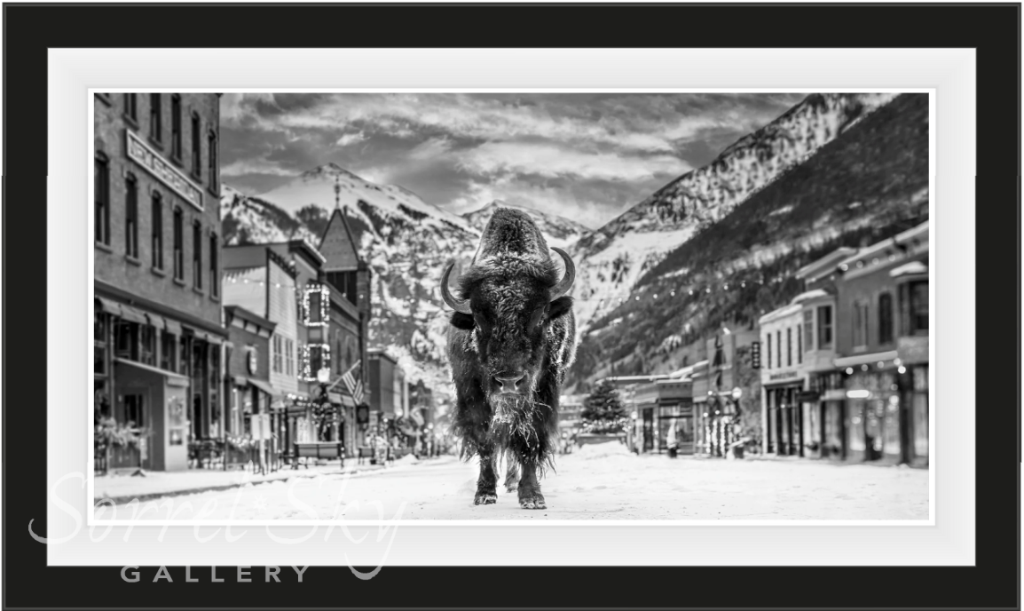 The Bison on Main-Photographic Print-David Yarrow-Sorrel Sky Gallery