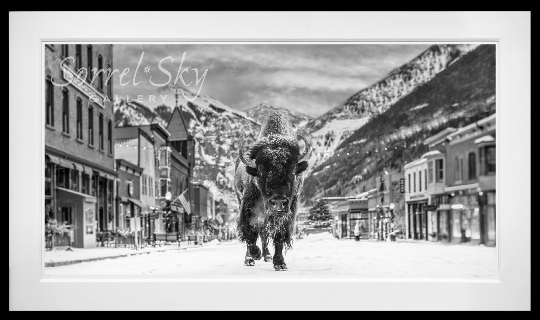 The Bison on Main II-Photographic Print-David Yarrow-Sorrel Sky Gallery