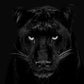 The Black Panther Club-Photographic Print-David Yarrow-Sorrel Sky Gallery