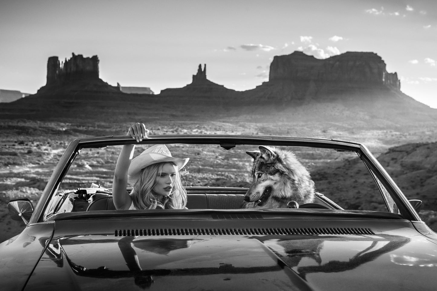 The Break Up-Photographic Print-David Yarrow-Sorrel Sky Gallery