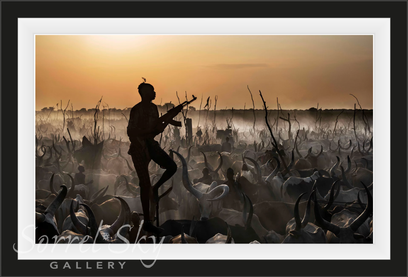 The Colour of Money-Photographic Print-David Yarrow-Sorrel Sky Gallery