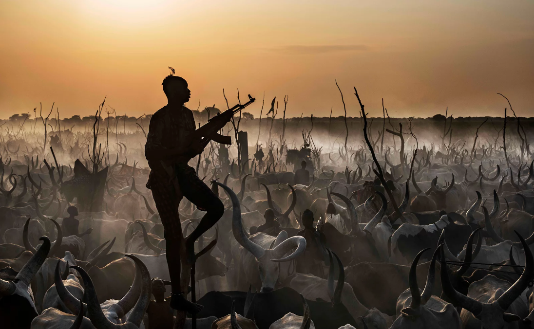 The Colour of Money-Photographic Print-David Yarrow-Sorrel Sky Gallery