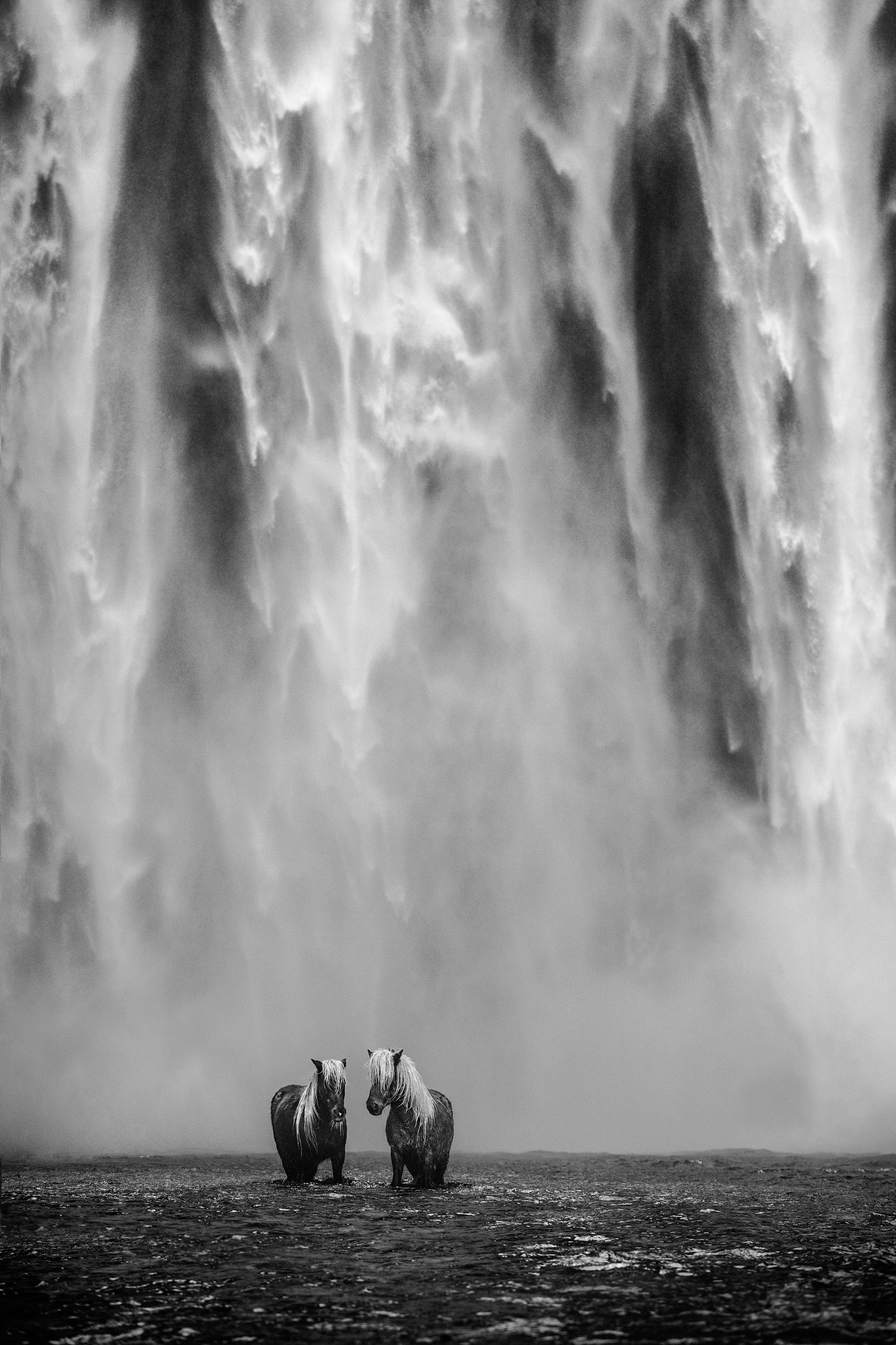 The Dream | David Yarrow | Iceland | Sorrel Sky Gallery | Yarrow Photo