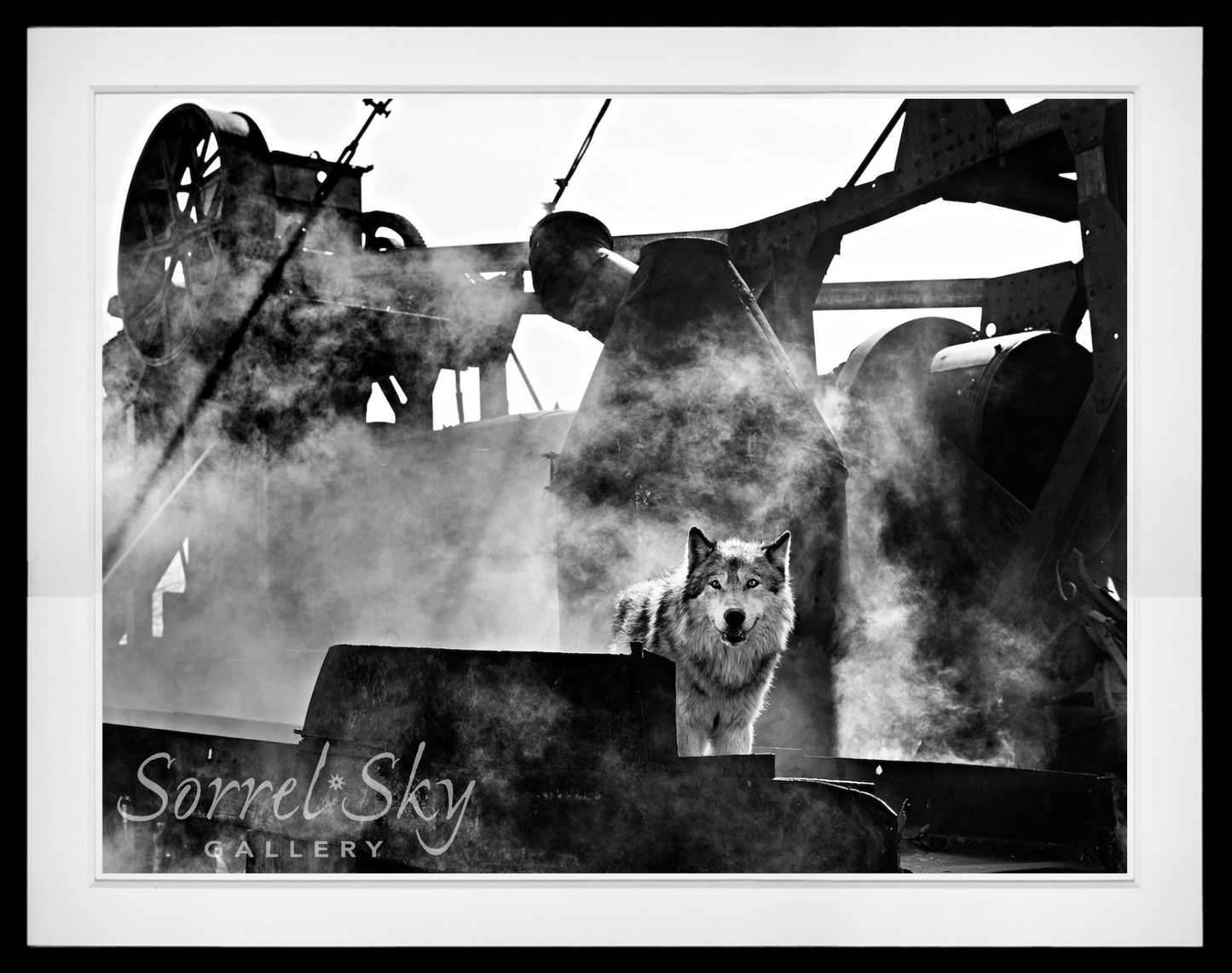 The Engineer-Photographic Print-David Yarrow-Sorrel Sky Gallery