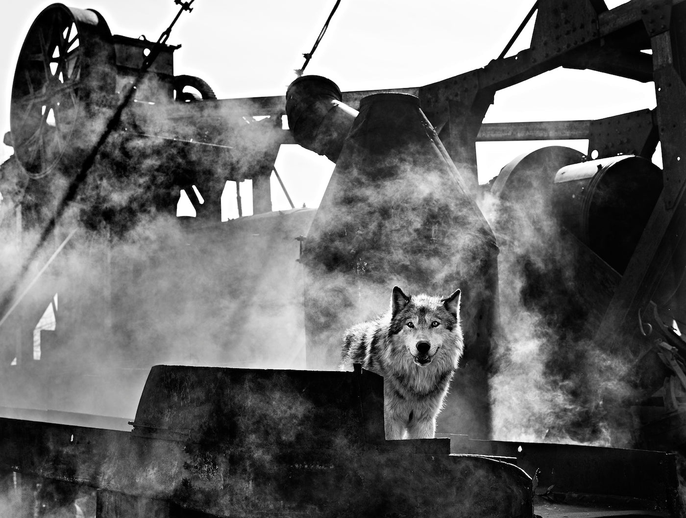 The Engineer-Photographic Print-David Yarrow-Sorrel Sky Gallery