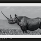 The Girl on the Hill-Photographic Print-David Yarrow-Sorrel Sky Gallery