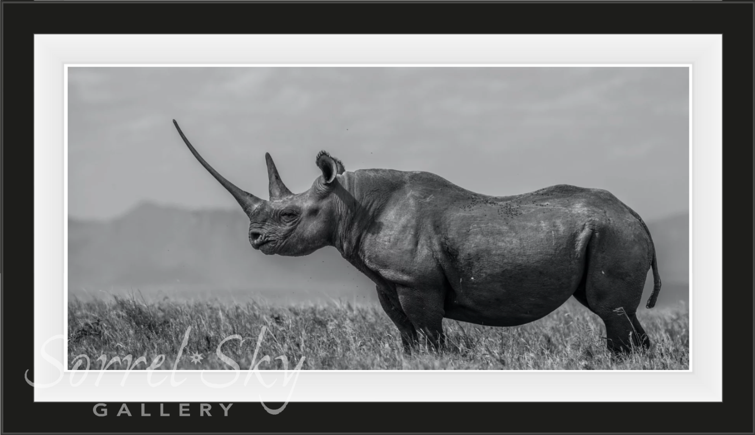 The Girl on the Hill-Photographic Print-David Yarrow-Sorrel Sky Gallery