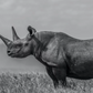 The Girl on the Hill-Photographic Print-David Yarrow-Sorrel Sky Gallery