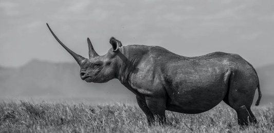 The Girl on the Hill-Photographic Print-David Yarrow-Sorrel Sky Gallery