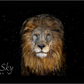 The Lion - Colour-Photographic Print-David Yarrow-Sorrel Sky Gallery