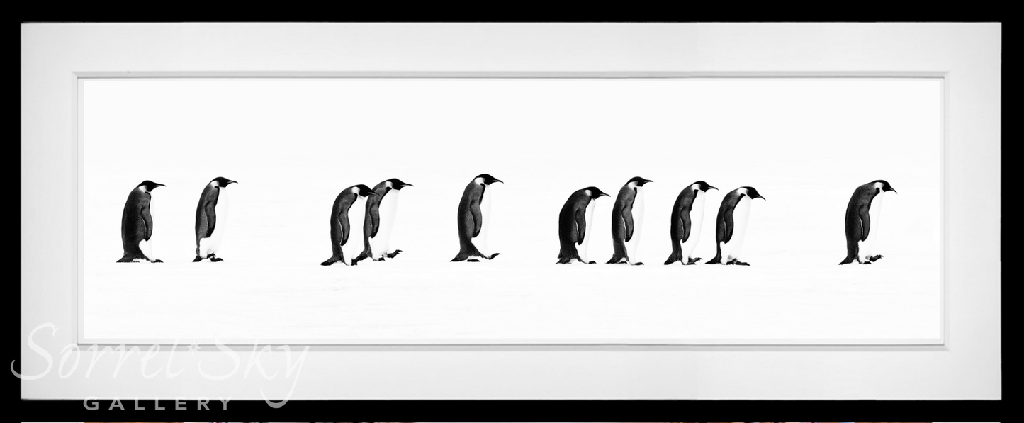 The Long March-Photographic Print-David Yarrow-Sorrel Sky Gallery