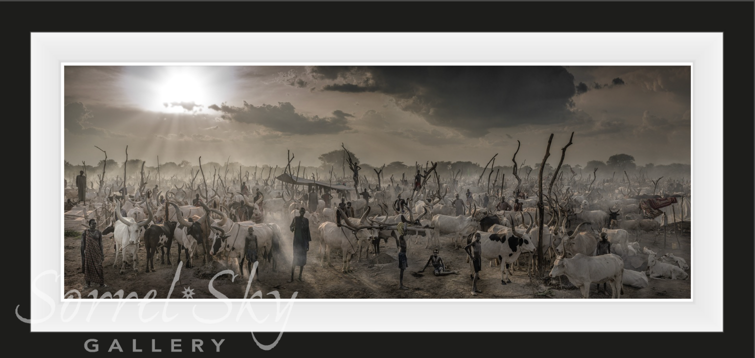 The New Testament - Monochromatic-Photographic Print-David Yarrow-Sorrel Sky Gallery