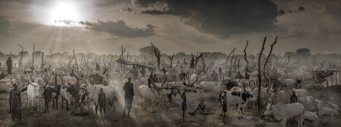 The New Testament - Monochromatic-Photographic Print-David Yarrow-Sorrel Sky Gallery