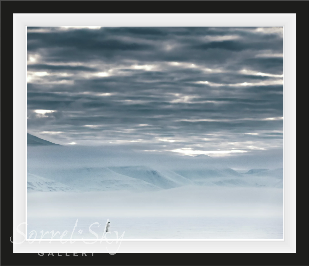 The North Remembers-Photographic Print-David Yarrow-Sorrel Sky Gallery